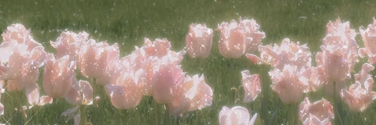 bj__forever's profile banner image
