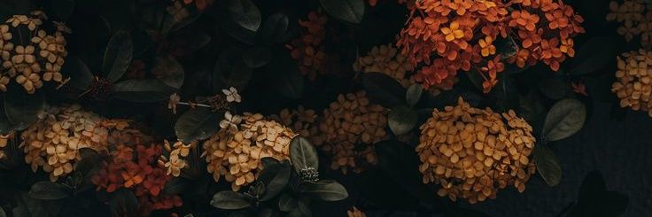 _mkukka's profile banner image