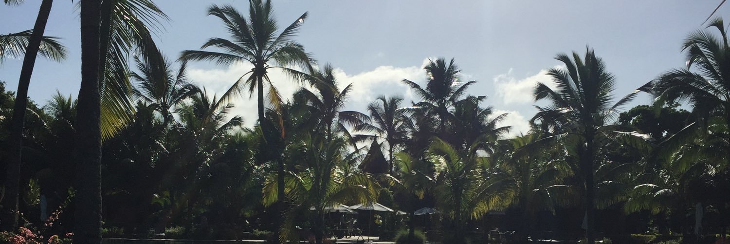 RobinSabban's profile banner image