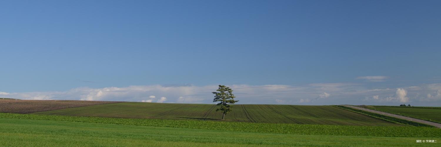 Kosukeblue's profile banner image