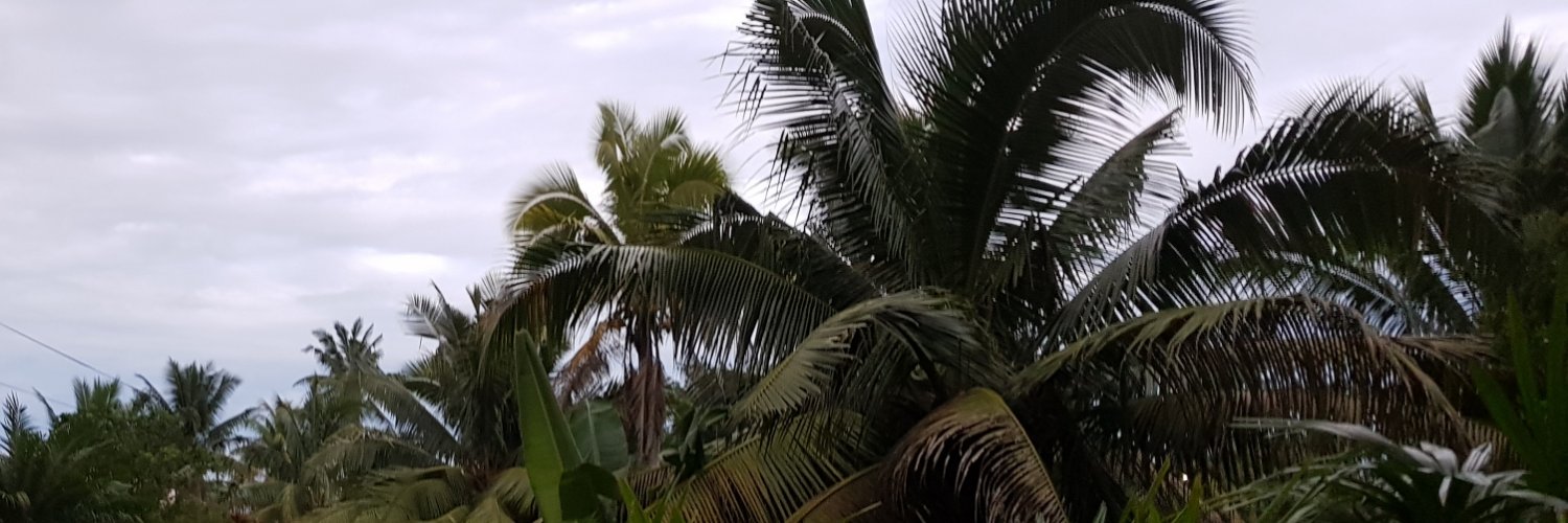 Pasifika Environews's banner