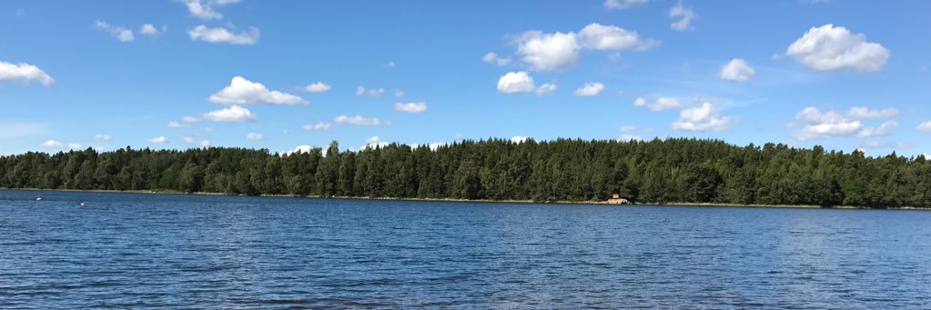 monicasofo's profile banner image