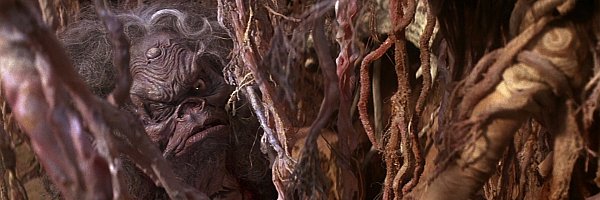 EAughra's profile banner image