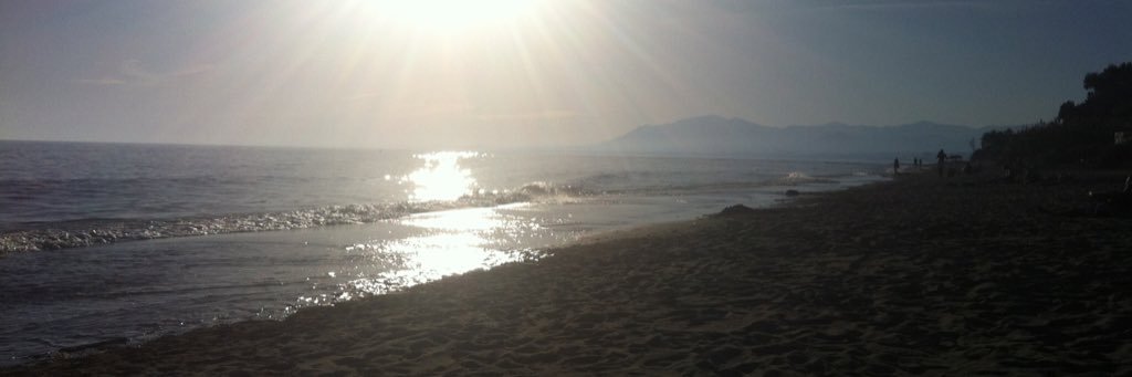 Lozza Fletcher banner