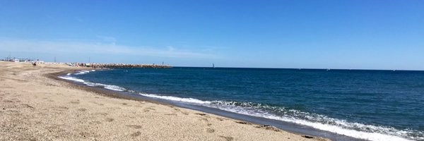 misscarrasc Profile Banner