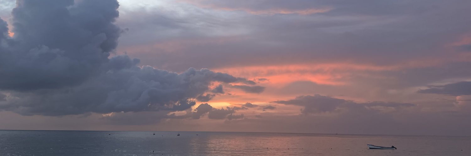 maferibarra's profile banner image