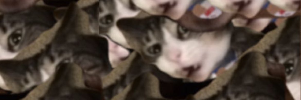 julia 😵‍💫😵‍💫 banner