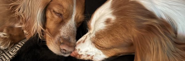 drbennye Profile Banner