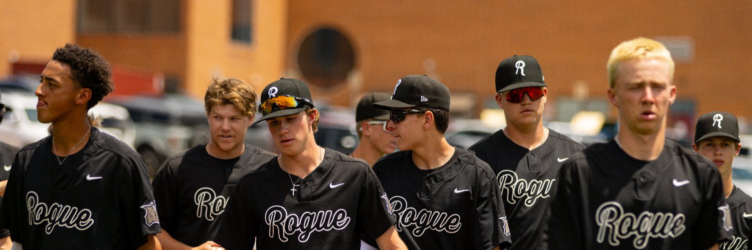 Colorado Rogue Baseball Club banner