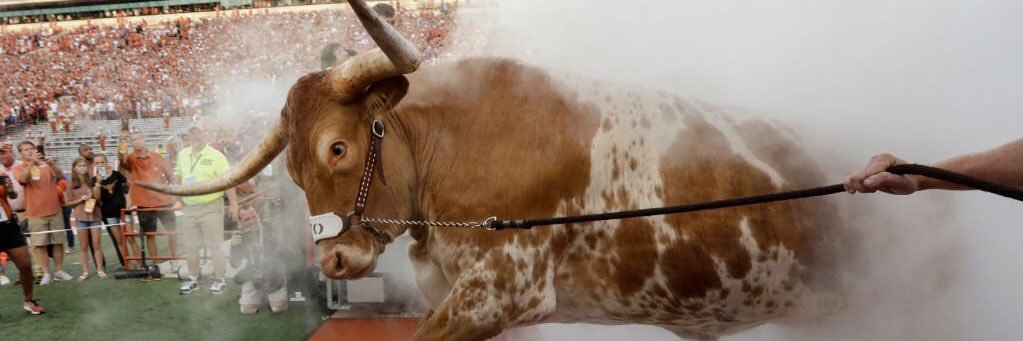 jedhoke's profile banner image