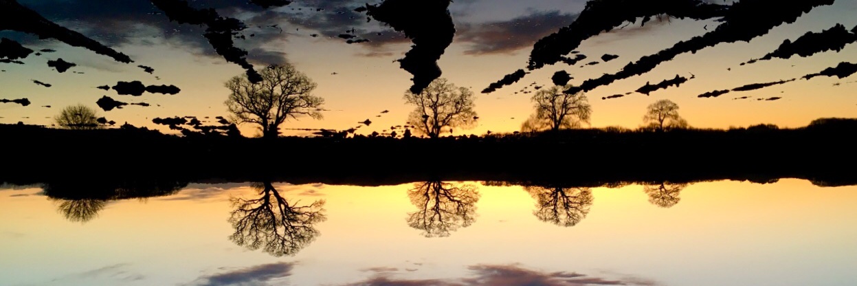 GerryRogerson's profile banner image