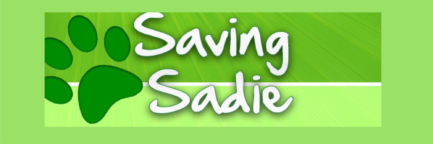 Saving Sadie banner