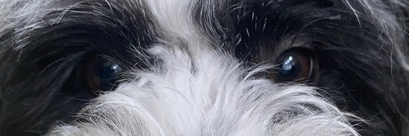 Nilasenaa1's profile banner image