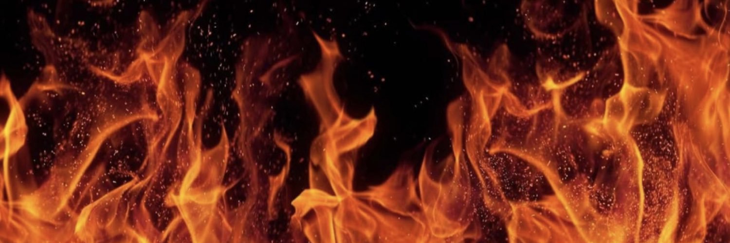 D시즈(작가계) banner