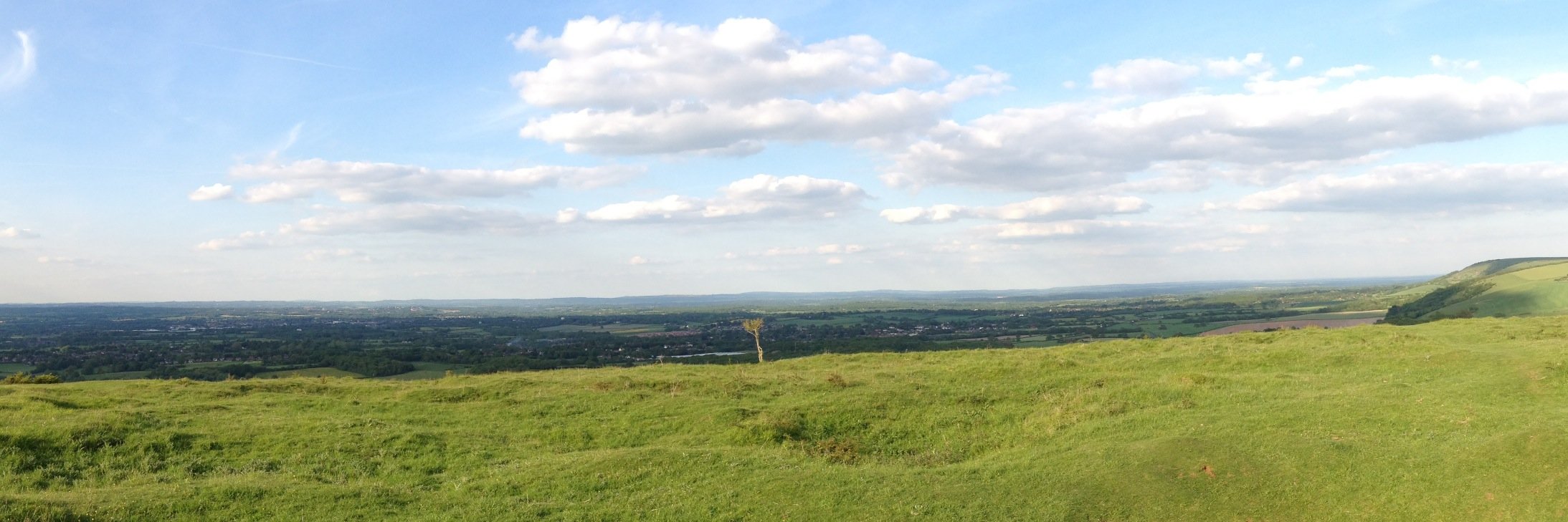 Steve Rowling banner