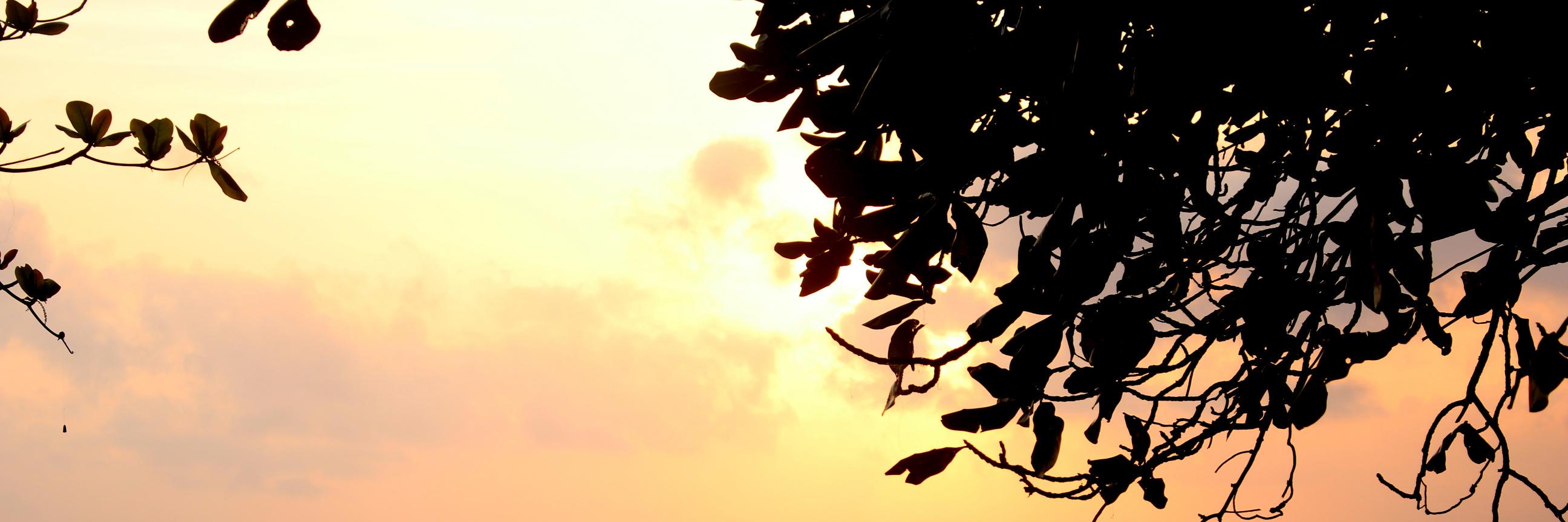 mutiarandy's profile banner image