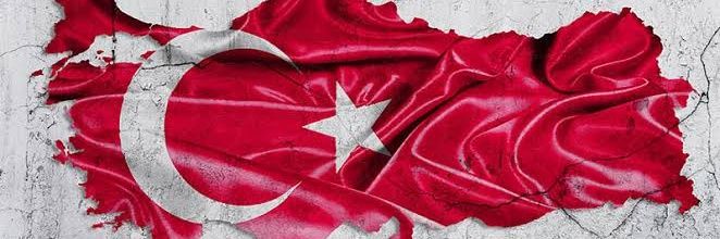 Feyza Bay banner