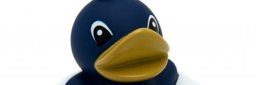 DuckiousQ's profile banner image