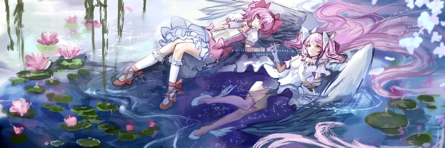 sou's banner