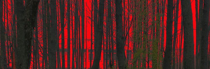 nyctophilia banner