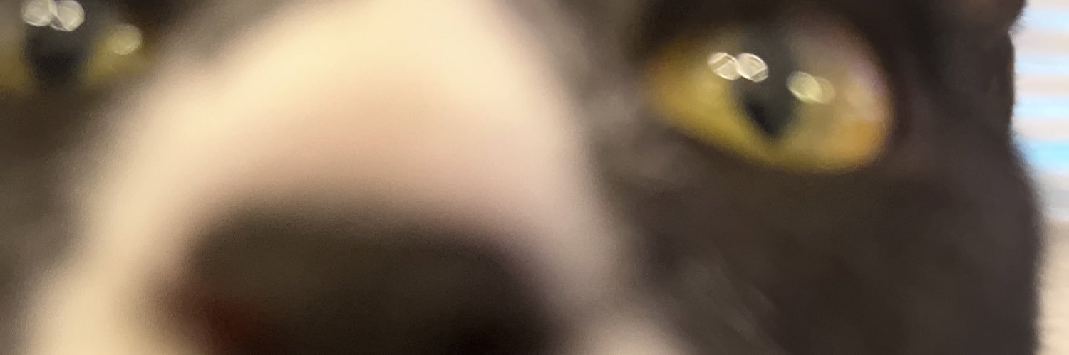 meagjarv's profile banner image