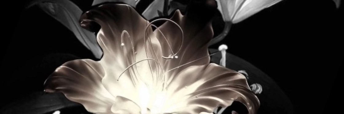 𝕭𝖊𝖊🫧's banner