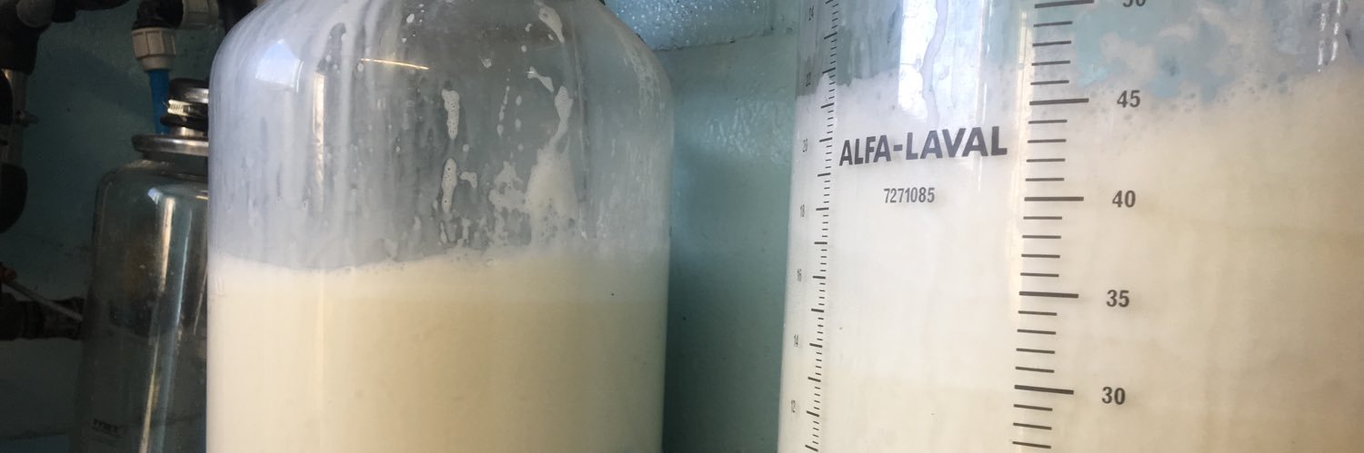 Don’t send dairy down the drain banner