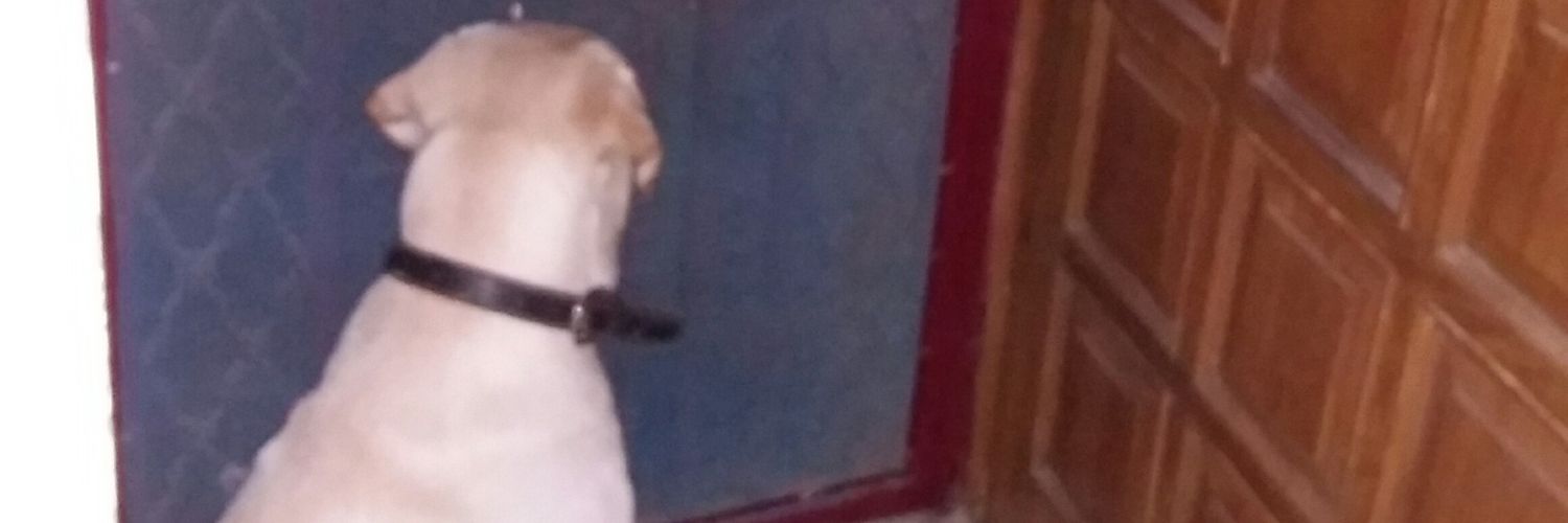 Vikaas_VG3's profile banner image
