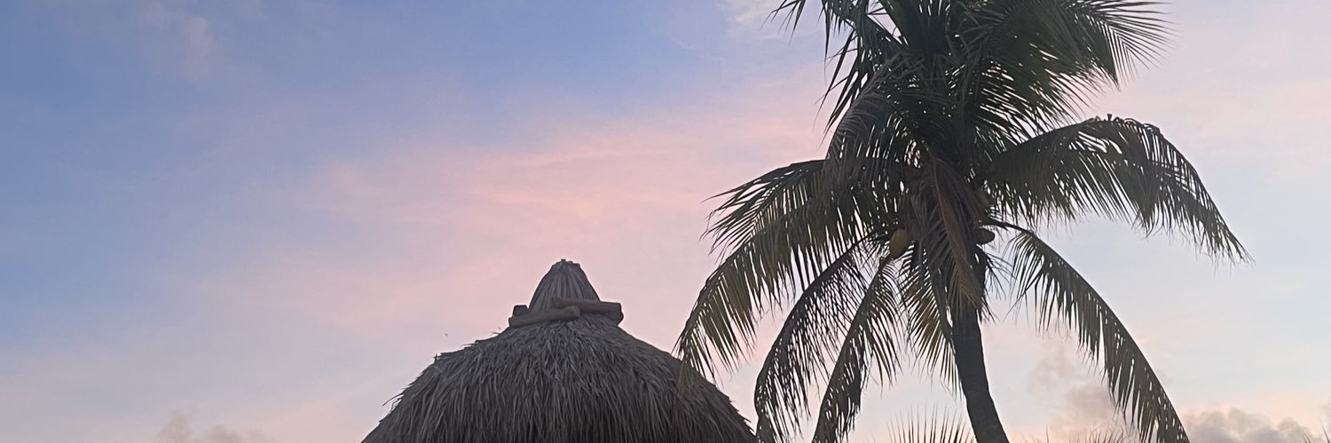 Matthew Dyer banner