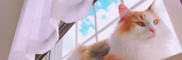 rish2000_st's profile banner image