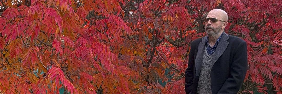 loucatann's profile banner image