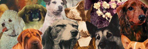 andrewwwdotnet Profile Banner