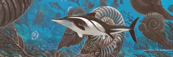 ThePalAss Profile Banner