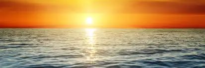 patels18_2's profile banner image