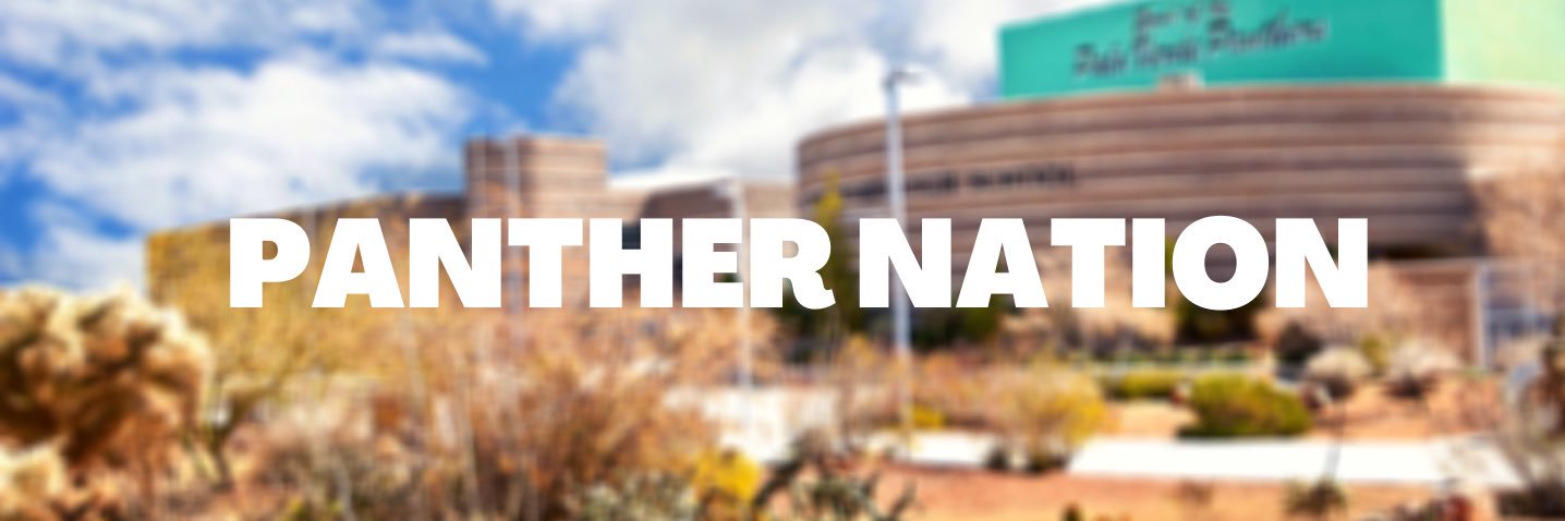 Palo Verde High School banner