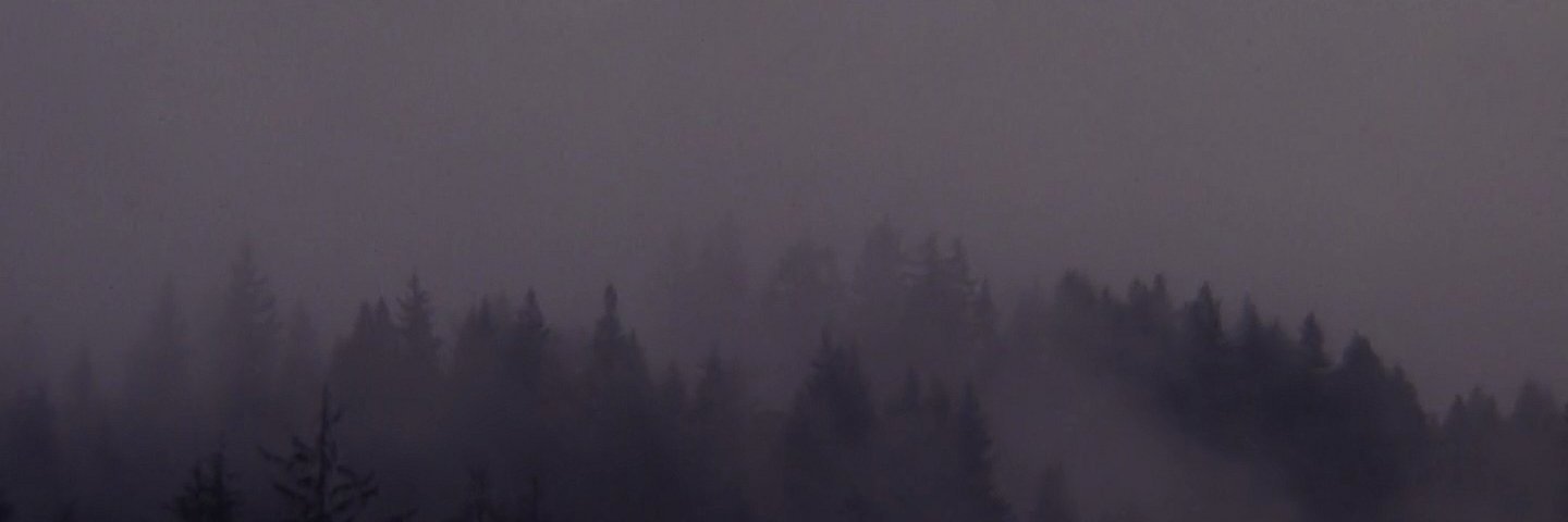 NewPlasticldeas's profile banner image