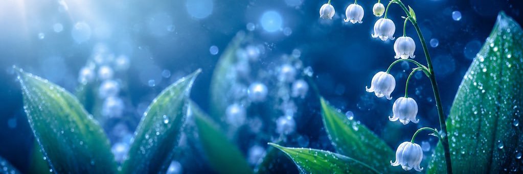 venturethepage's profile banner image