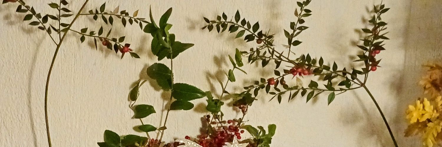 Signor Flavio banner