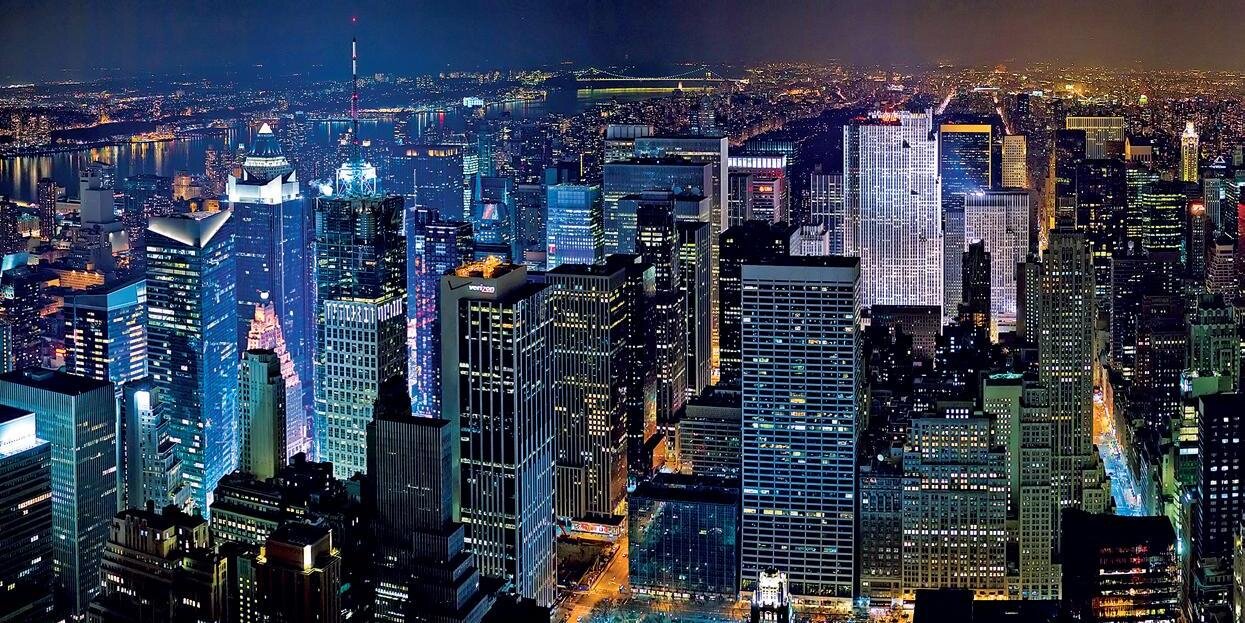 Alina Shannimal banner