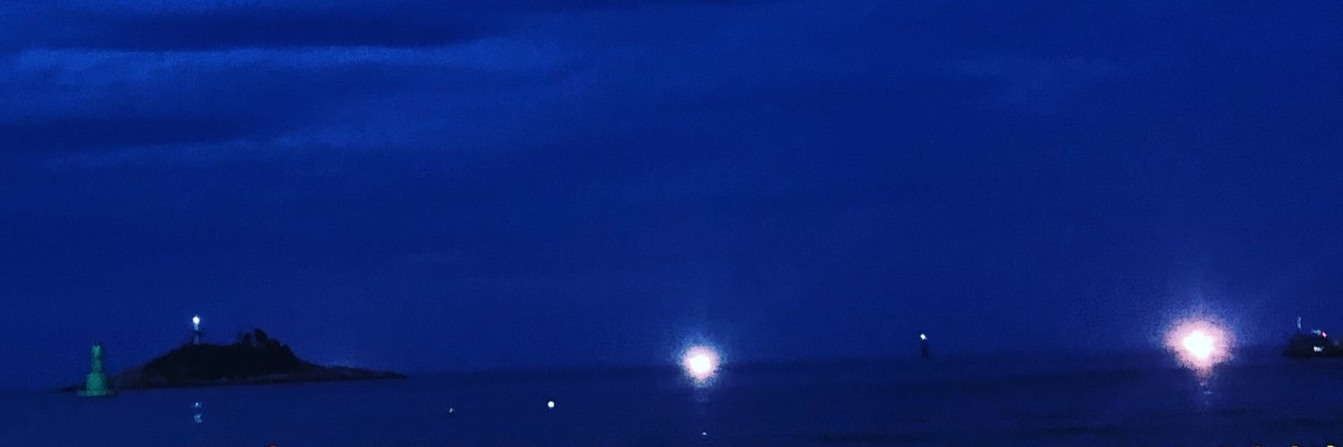 Enkhjins's profile banner image