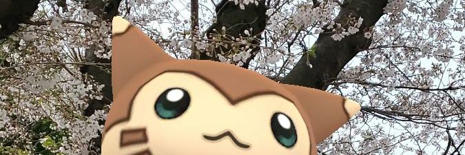 sarasaebi's profile banner image