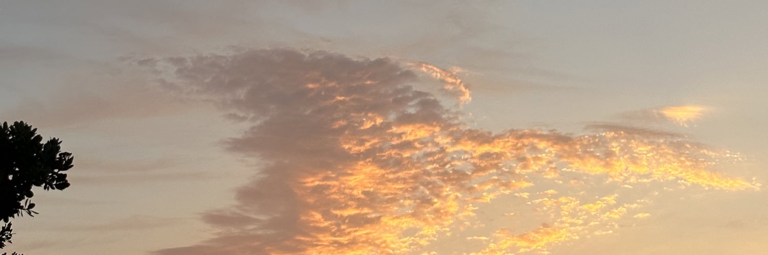 なのこ@SPWcrafts🇺🇸🇯🇵 banner