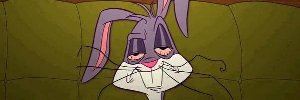 lumazzinipuga Profile Banner