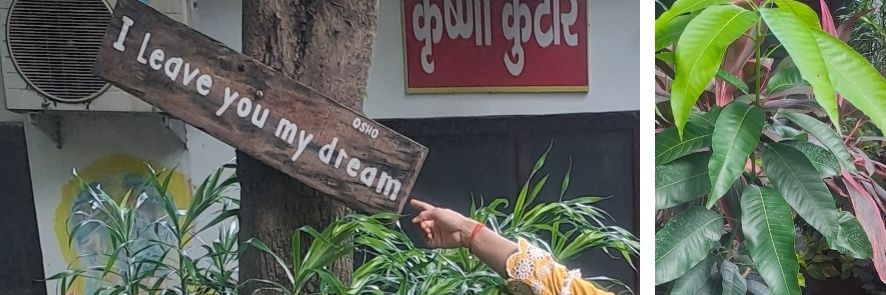 Osho ओशो 🪷's banner