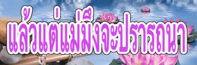 ไข่เจียว banner