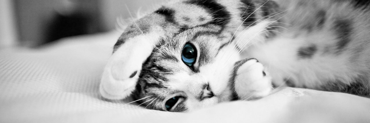 betti92_'s profile banner image