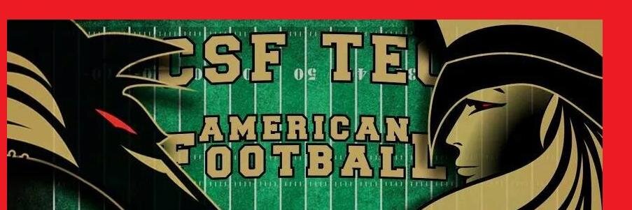 CSFTeoFootball's profile banner image