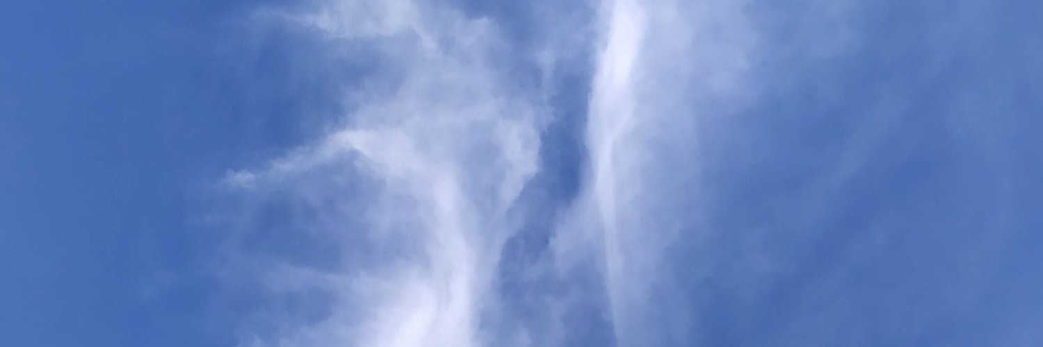 in_saali's profile banner image
