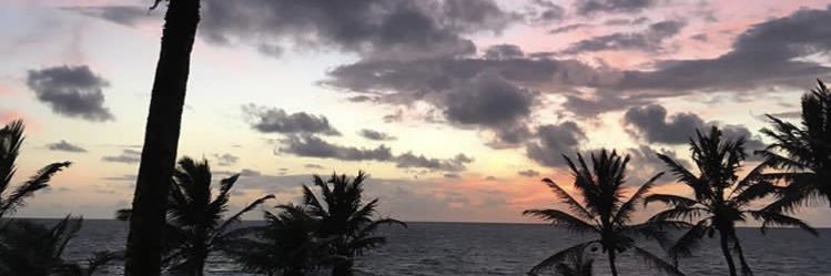 barbilopez95's profile banner image
