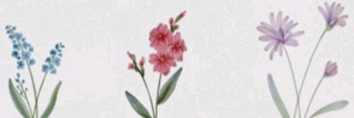 Maria_palacio1's profile banner image